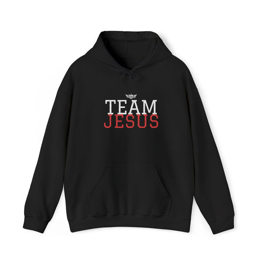 A...GGG EMBROIDERY Hoodie — Team Jesus Graphic Pullover cotton